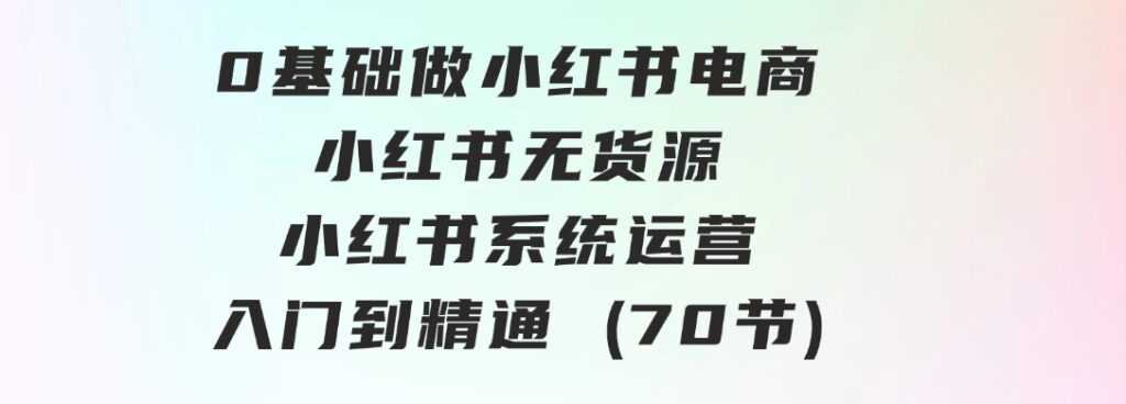 0基础做小红书电商，小红书无货源，小红书系统运营，入门到精通(70节)-财仔梦想资源网
