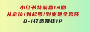 小红书特训营13期，从定位/到起号/到变现全路径，0-1打造赚钱IP，月入10w+-财仔梦想资源网