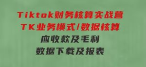 Tiktok财务核算实战营：TK业务模式/数据核算/应收款及毛利/数据下载及报表-财仔梦想资源网