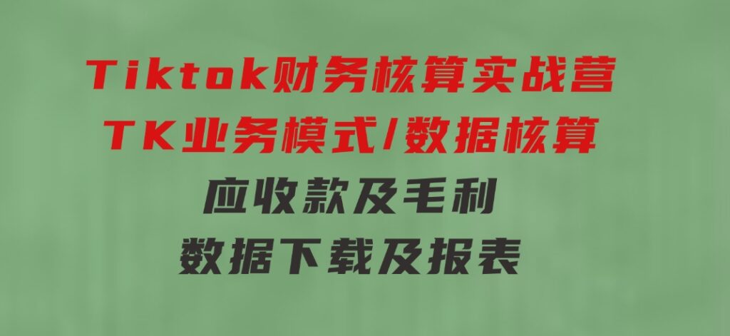 Tiktok财务核算实战营：TK业务模式/数据核算/应收款及毛利/数据下载及报表-财仔梦想资源网