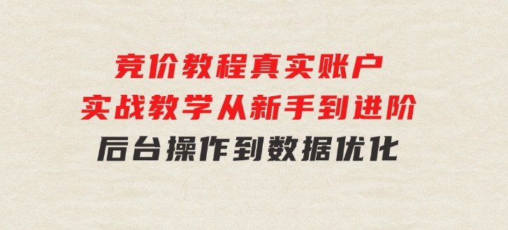 竞价教程：真实账户实战教学从新手到进阶·后台操作到数据优化-财仔梦想资源网