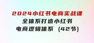 2024小红书电商实战课：全体系打造全方位梳理小红书电商逻辑体系(42节)-财仔梦想资源网