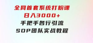全网首套系统打粉课，日入3000+，手把手各行引流SOP团队实战教程-财仔梦想资源网