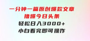 一分钟一篇原创爆款文章，撸爆今日头条，轻松日入3000+，小白看完即可…-财仔梦想资源网