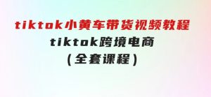 tiktok小黄车带货视频教程，tiktok跨境电商（全套课程）-财仔梦想资源网