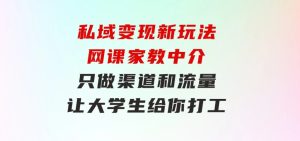 私域变现新玩法，网课家教中介，只做渠道和流量，让大学生给你打工-财仔梦想资源网