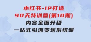 小红书-IP打造90天特训营(第10期)：内容全面升级，一站式引流变现系统课-财仔梦想资源网