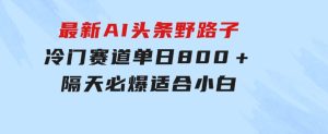 最新AI头条野路子冷门赛道，单日800＋隔天必爆，适合小白-财仔梦想资源网