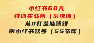 小红书60天特训实战营（系统课）从0打造能赚钱的小红书账号（55节课）-财仔梦想资源网