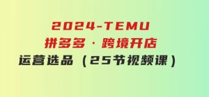 2024-TEMU拼多多·跨境开店、运营、选品（25节视频课）-财仔梦想资源网