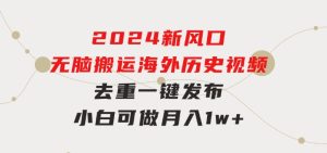 2024新风口，无脑搬运海外历史视频，去重一键发布，小白可做，月入1w不…-财仔梦想资源网