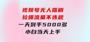 视频号无人播剧，拉爆流量不违规，一天到手5000多，小白当天上手-财仔梦想资源网