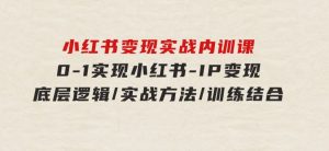 小红书变现实战内训课，0-1实现小红书-IP变现底层逻辑/实战方法/训练结合-财仔梦想资源网