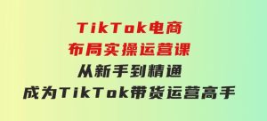 TikTok电商布局实操运营课：从新手到精通，成为TikTok带货运营高手-财仔梦想资源网