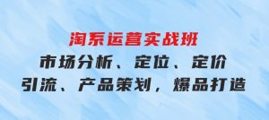 淘系运营实战班：市场分析、定位、定价、引流、产品策划，爆品打造-财仔梦想资源网