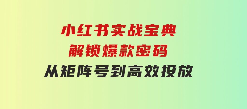 小红书实战宝典：解锁爆款密码，从矩阵号到高效投放-财仔梦想资源网