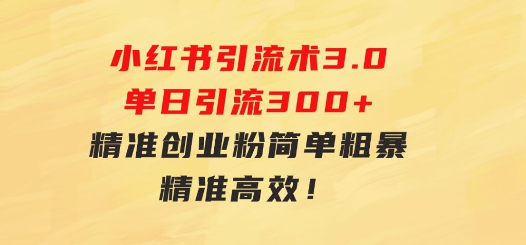 24年最新小红书引流术3.0，单日引流300+精准创业粉，简单粗暴，精准高效！-财仔梦想资源网
