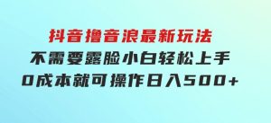 抖音撸音浪最新玩法，不需要露脸，小白轻松上手，0成本就可操作，日入500+-财仔梦想资源网