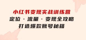 小红书变现实战训练营：定位·流量·变现全攻略，打造爆款账号秘籍-财仔梦想资源网