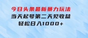今日头条最新暴力玩法，当天起号，第二天见收益，轻松日入1000+-财仔梦想资源网