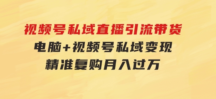 视频号私域直播引流带货：电脑+视频号，私域变现，精准复购，月入过万…-财仔梦想资源网