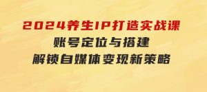 2024养生IP打造实战课：账号定位与搭建，解锁自媒体变现新策略-财仔梦想资源网