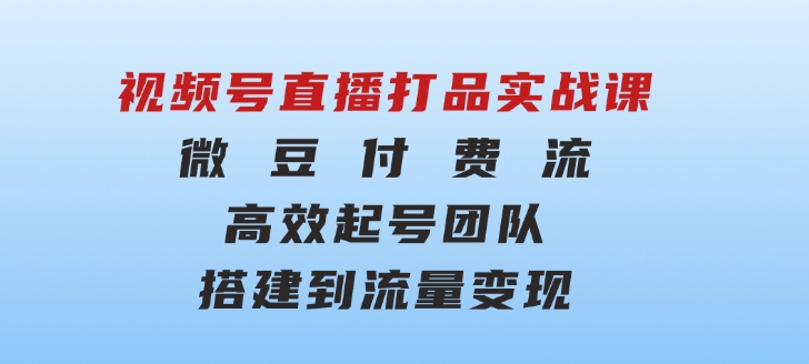 视频号直播打品实战课：微豆付费流，高效起号，团队搭建到流量变现-财仔梦想资源网