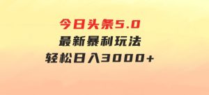 今日头条5.0最新暴利玩法，轻松日入3000+-财仔梦想资源网