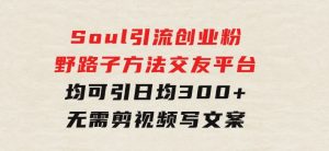 Soul引流创业粉野路子方法，交友平台均可引日均300+，无需剪视频写文案-财仔梦想资源网