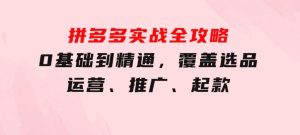 拼多多实战全攻略：0基础到精通，覆盖选品、运营、推广、起款-财仔梦想资源网
