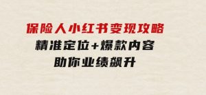 保险人小红书变现攻略，精准定位+爆款内容，助你业绩飙升-财仔梦想资源网