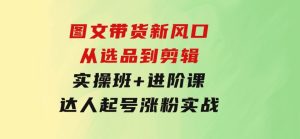 图文带货新风口：从选品到剪辑，实操班+进阶课，达人起号涨粉实战-财仔梦想资源网