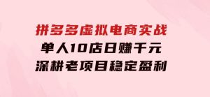 拼多多虚拟电商实战：单人10店日赚千元，深耕老项目，稳定盈利不求风口-财仔梦想资源网
