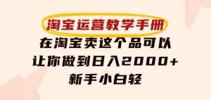 淘宝运营教学手册，在淘宝卖这个品可以让你做到日入2000+，新手小白轻-财仔梦想资源网