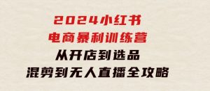2024小红书电商暴利训练营：从开店到选品，混剪到无人直播全攻略-财仔梦想资源网