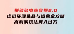 拼多多电商实操2.0：虚拟资源选品与运营全攻略，高利润玩法，月入过万-财仔梦想资源网