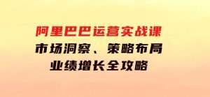 阿里巴巴运营实战课：市场洞察、策略布局、业绩增长全攻略-财仔梦想资源网