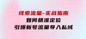 线索流量-实战指南：如何精准定位，引爆新号流量，导入私域-财仔梦想资源网