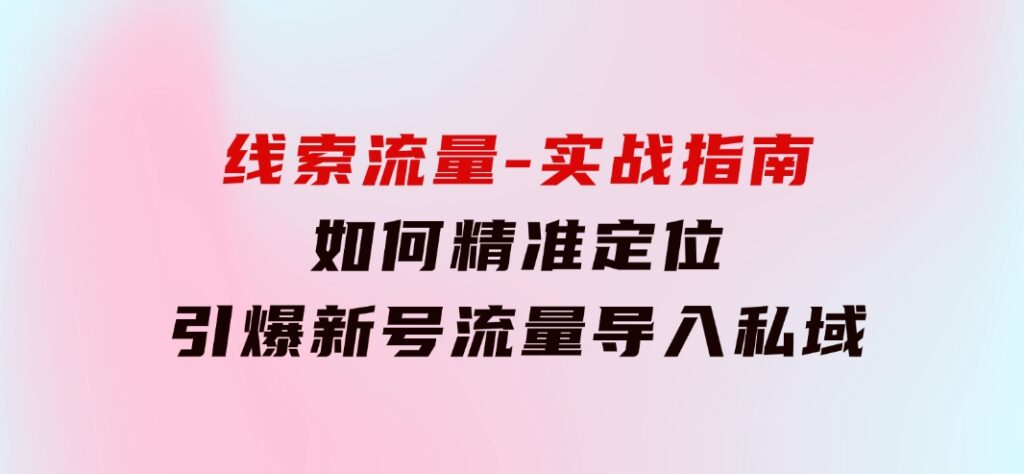 线索流量-实战指南：如何精准定位，引爆新号流量，导入私域-财仔梦想资源网