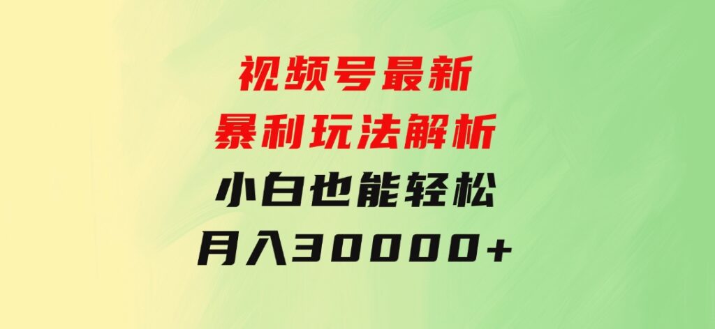 视频号最新暴利玩法解析，小白也能轻松月入30000+-财仔梦想资源网