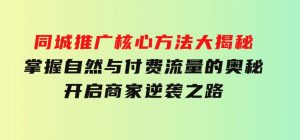 同城推广核心方法大揭秘：掌握自然与付费流量的奥秘，开启商家逆袭之路-财仔梦想资源网