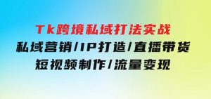 Tk跨境私域打法实战：私域营销/IP打造/直播带货/短视频制作/流量变现-财仔梦想资源网