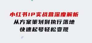 小红书IP实战营深度解析：从方案策划到执行落地，快速起号轻松变现-财仔梦想资源网