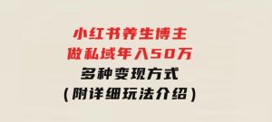 小红书养生博主做私域年入50万，多种变现方式（附详细玩法介绍）-财仔梦想资源网