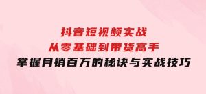 抖音短视频实战：从零基础到带货高手，掌握月销百万的秘诀与实战技巧-财仔梦想资源网