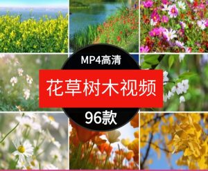 花草树木春暖花开绿色自然植物桃花小草小花摄影短片视频特写素材-财仔梦想资源网