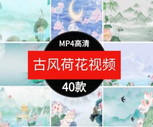 唯美古风水墨荷花莲花荷塘中国风古韵荷花LED大屏幕背景视频素材-财仔梦想资源网