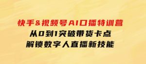 快手&视频号AI口播特训营：从0到1突破带货卡点，解锁数字人直播新技能-财仔梦想资源网
