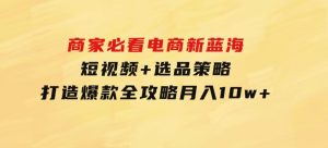 商家必看电商新蓝海：短视频+选品策略，打造爆款全攻略，月入10w+-财仔梦想资源网