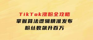 TikTok涨粉全攻略：掌握算法逻辑，精准发布，粉丝数飙升百万-财仔梦想资源网